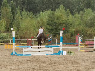 Obraz na płótnie Canvas jump over the barrier on a horse