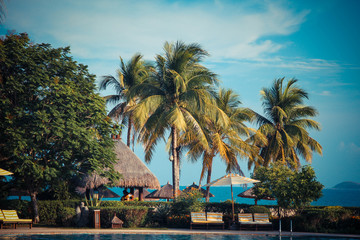 Naklejka premium Beach holidays, luxury swimming pool with palm trees