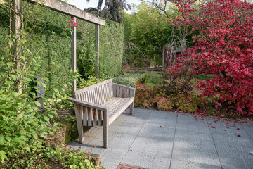 Wooden bench to enjoy the sun in the beautiful autumn garden