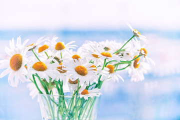Bouquet of chamomiles.