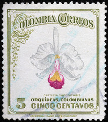 Beautiful colombian orchid on vintage postage stamp