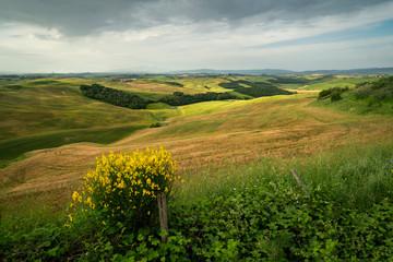 tuscany spring
