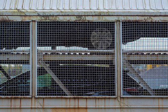 Old metal railroad freight car loaded with new cars