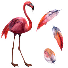 Watercolor flamingo pattern. Hand Drawn bird. Print for textile, cloth, wallpaper, scrapbooking