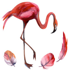Watercolor flamingo pattern. Hand Drawn bird. Print for textile, cloth, wallpaper, scrapbooking