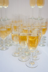 Champagne in the glases on the buffet table