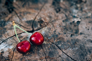 Background of tree with ripe cherry