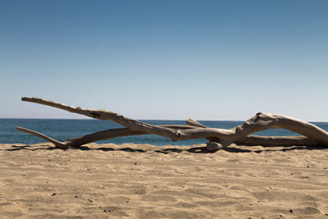 Paisaje Playa