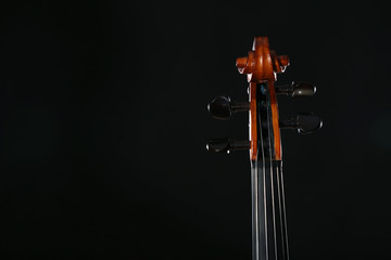 Violin head on black background