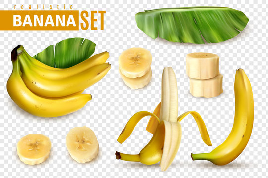 Realistic Banana Transparent Set