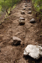 piedras