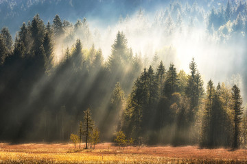 Geroldsee forest during autumn day over mountain peaks, Bavarian Alps, Bavaria, Germany.