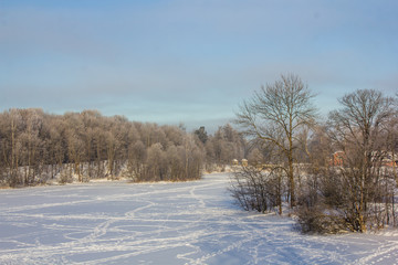 Winter landscape in clear weather. Frosty daylight at sunset