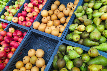 Bunch of red and green apples on boxes in supermarket. Red and green apples at the farmers market. Apples being sell at public market