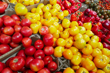 Fresh organic Vegetables in supermarket, farmers market. Healthy food. Vitamins and minerals. Tomatoes, capsicum, cucumbers, mushrooms, zucchini, Vegetables, Vegetables fresh