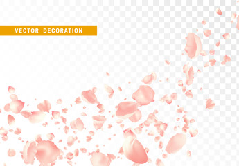 Pink flower petals are flying circling isolated on transparent background © lauritta