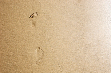 Footprints from the feet of a girl wet sand. Close-up