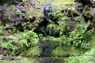 Levada walk from Ribeiro Frio to Portela, Madeira