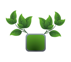 ecology square button with leafs