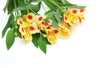 アルストロメリアの花束