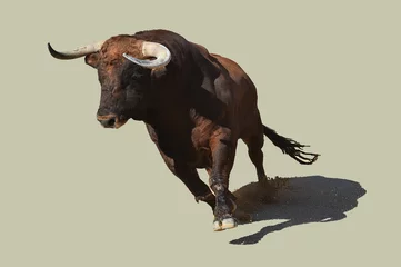 Fotobehang toro en españa © alberto