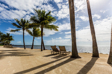 tropical beach with palm trees