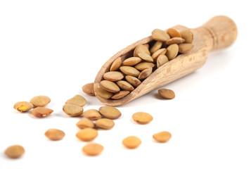 dry lentils on wooden spoon isolated on a white background