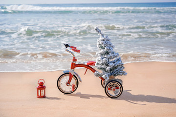 Red kid's small tricycle with a new year tree in the sea sandy beach. Christmas celebration concept in vacation. Exotic Xmass party