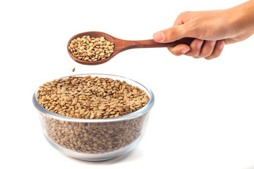 dry lentil in glass bowl with wooden spoon in the hand isolated on white background