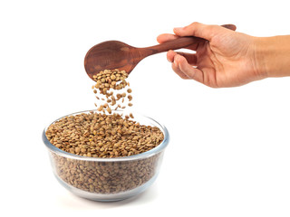 dry lentil in glass bowl with wooden spoon in the hand isolated on white background