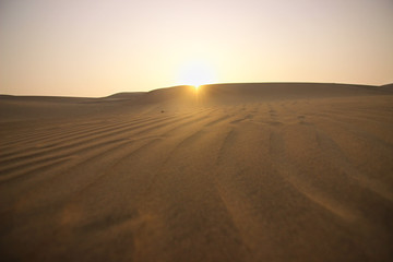 Obraz na płótnie Canvas Desert Sun