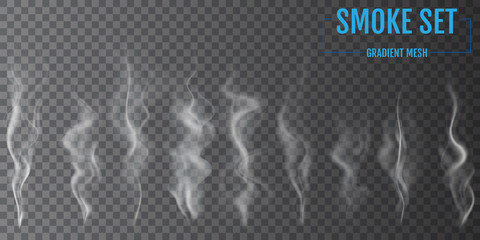 Delicate white cigarette smoke waves on transparent background. Vector illustration