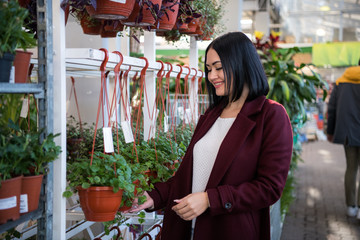 Young girl in a flower shop smiling and choosing a plant