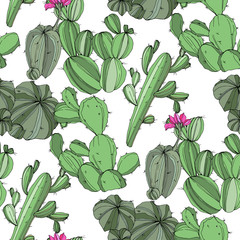 Vector Cactus. Green engraved ink art.Seamless background pattern. Fabric wallpaper print texture.