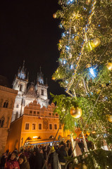 Christmas tree in old town square in Prague at night