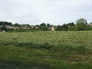 Frisch gem&auml;hte Wiese im suburbanen Esslingen-Serach (Baden-W&uuml;rttemberg)