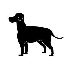 cute dog silhouette icon