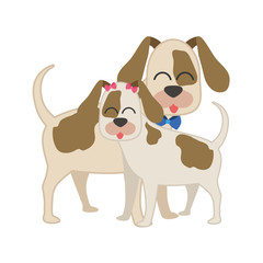 cute beagles dogs couple