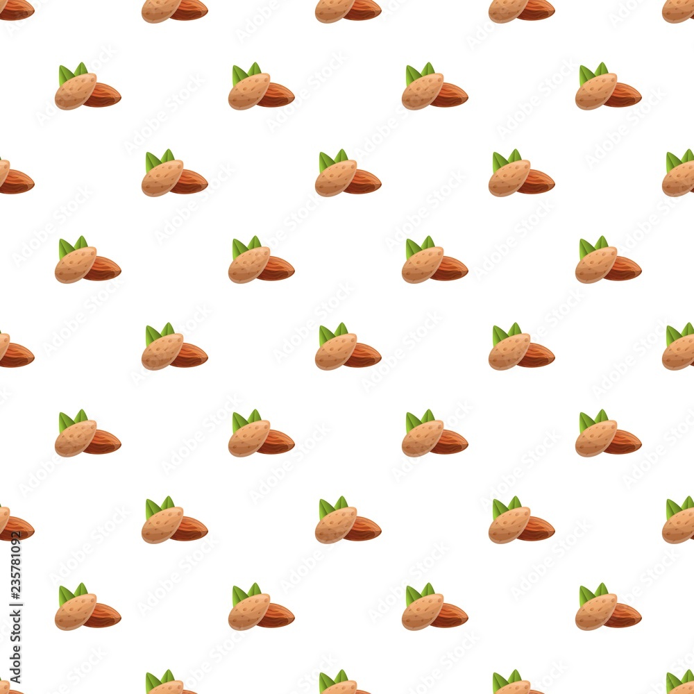 Poster almonds pattern seamless vector repeat for any web design