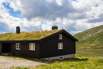 typical norwegian wooden house with gras on top