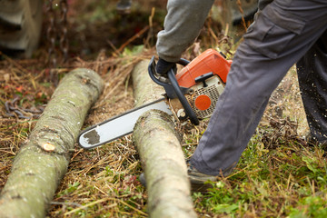 Lumberjack with chainsaw working