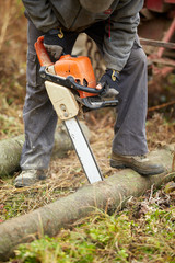 Lumberjack with chainsaw working