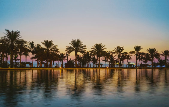 Evening in tropical Paradise. Palm trees on the Arabian Gulf after sunset. Dubai.