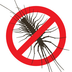 Flycatcher under the red sign ban