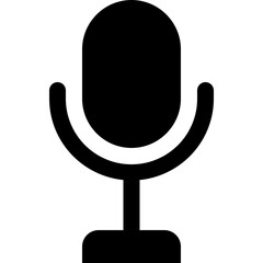 Voice recorder microphone