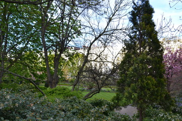 парк Кадоган Плейс Гарден в районе Челси в Лондоне