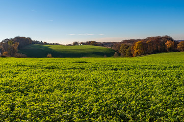 Obraz premium Herbstliche Landschaft, blick über Felder, Wiesen und Wald, Essen, Deutschland