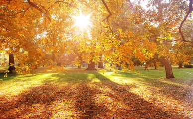 Fototapeta premium Beautiful, colorful autumn in an european country