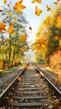 Fototapeta Colorful autumn leaves falling down on railway tracks
