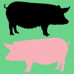 sow pig vector silhouette isolated